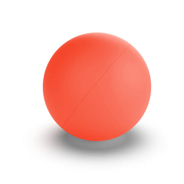 .61 LESS-LETHAL TRAINING AMMO